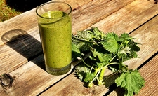 Isırgan Otu Suyu Kullanımı ve Faydaları Nelerdir?