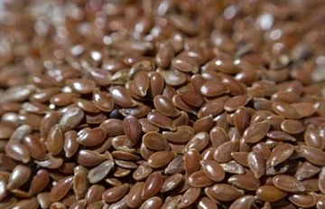 Isırgan Otu Tohumu Kullanımı ve Faydaları Nelerdir?