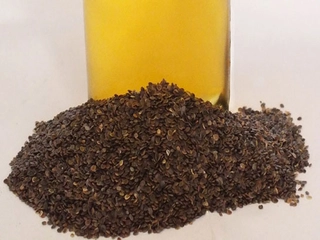 Isırgan Tohumunun Faydaları Nelerdir?